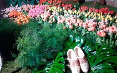 Girona, un espectáculo floral inolvidable