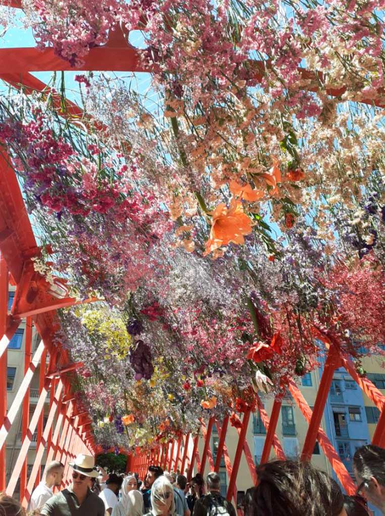 Tiempo de Flores en Girona