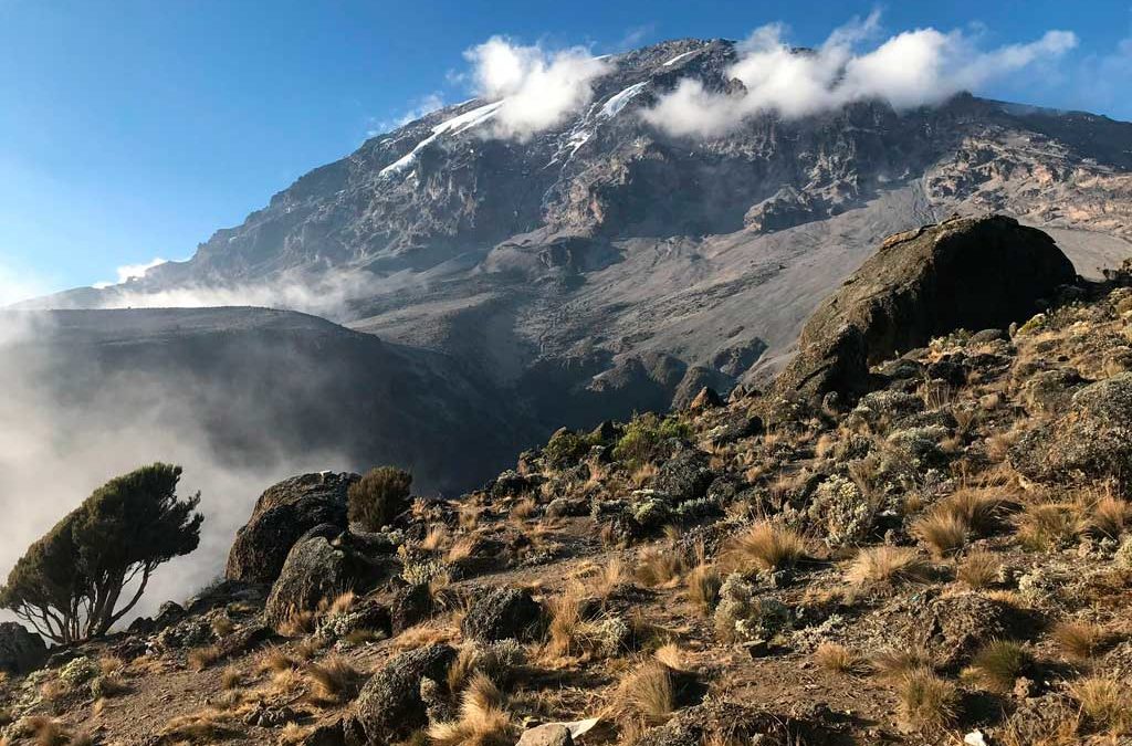 Kilimanjaro: Un viaje a la cima del gigante de África