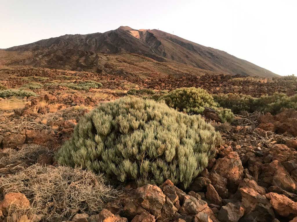 Ruta 040 Tenerife