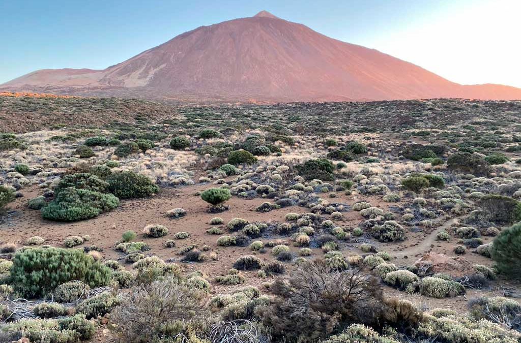 Adéntrate en una aventura conquistando la Ruta 040 en Tenerife